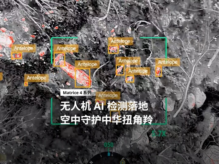毫秒级野生动物识别统计,无人机 AI 热成像检测落地