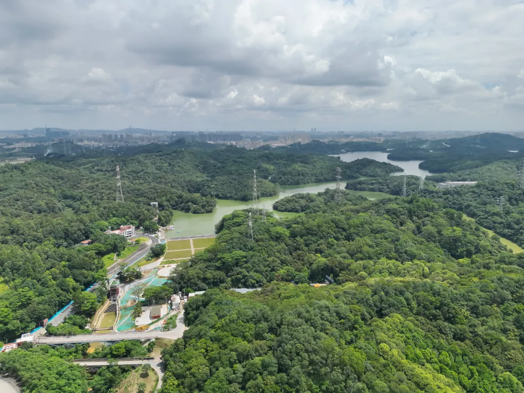 罗田水库